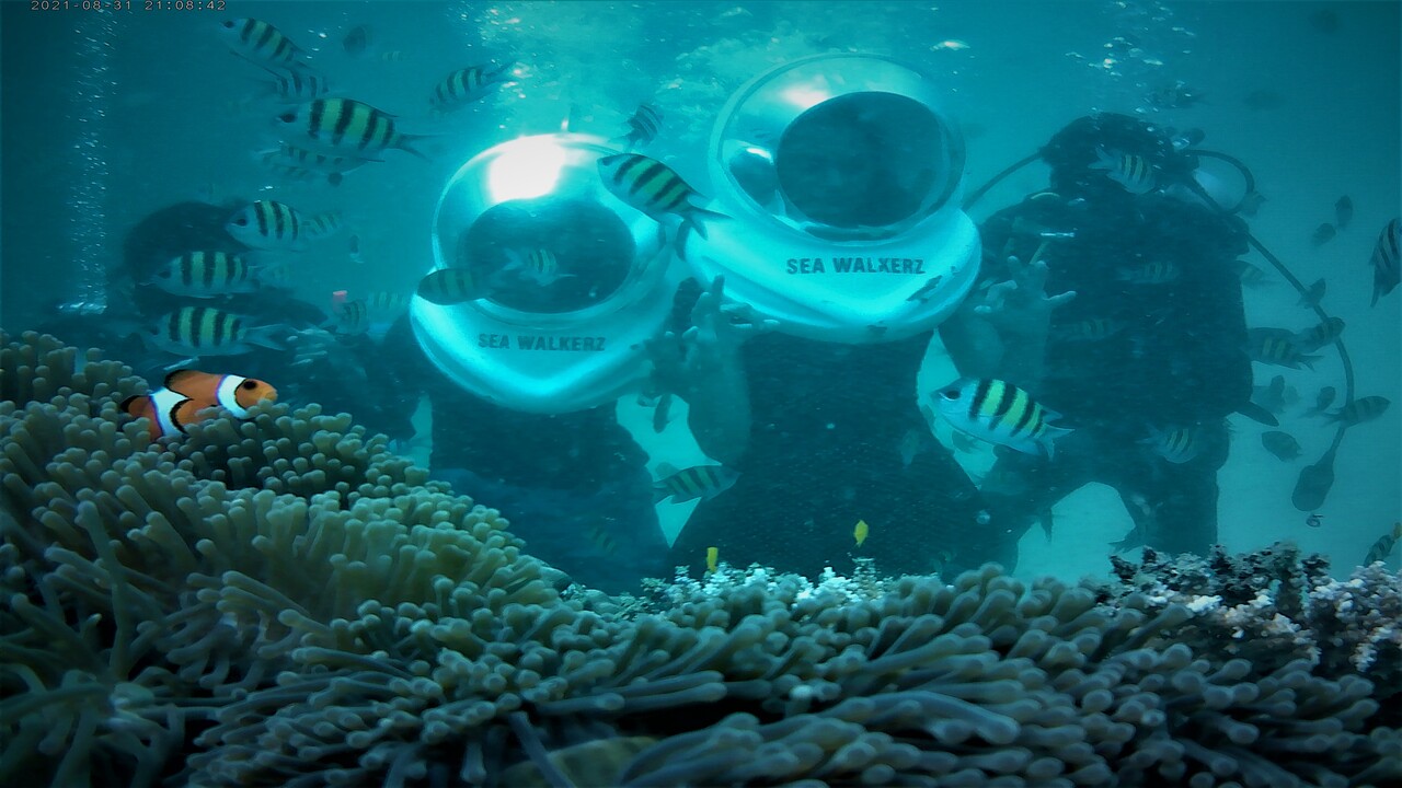 Sea Walking in Havelock Andaman Island